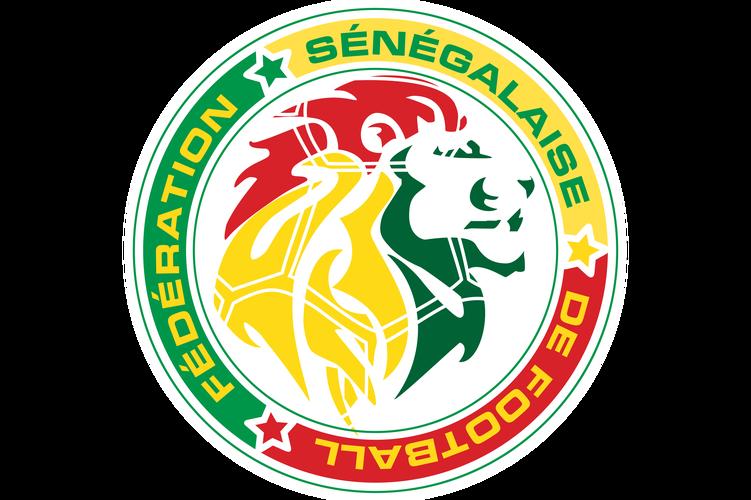 非洲国家杯球队实力强劲，激情赛事连连