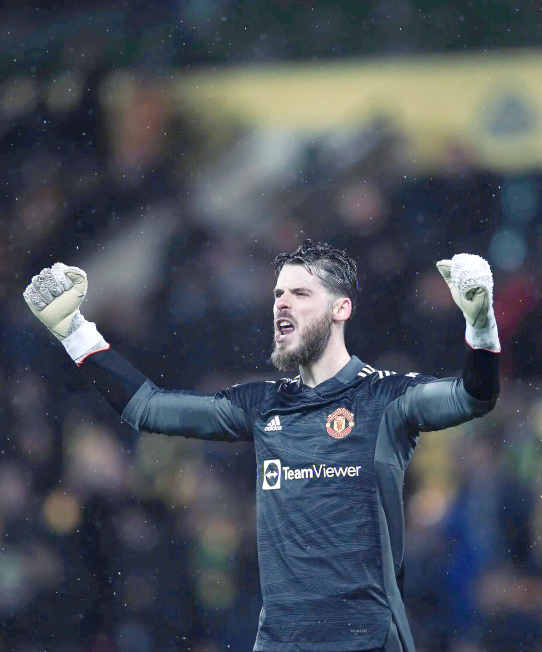 开云体育在线-关于诺维奇发挥不错，稳步向英超升级逼近的信息