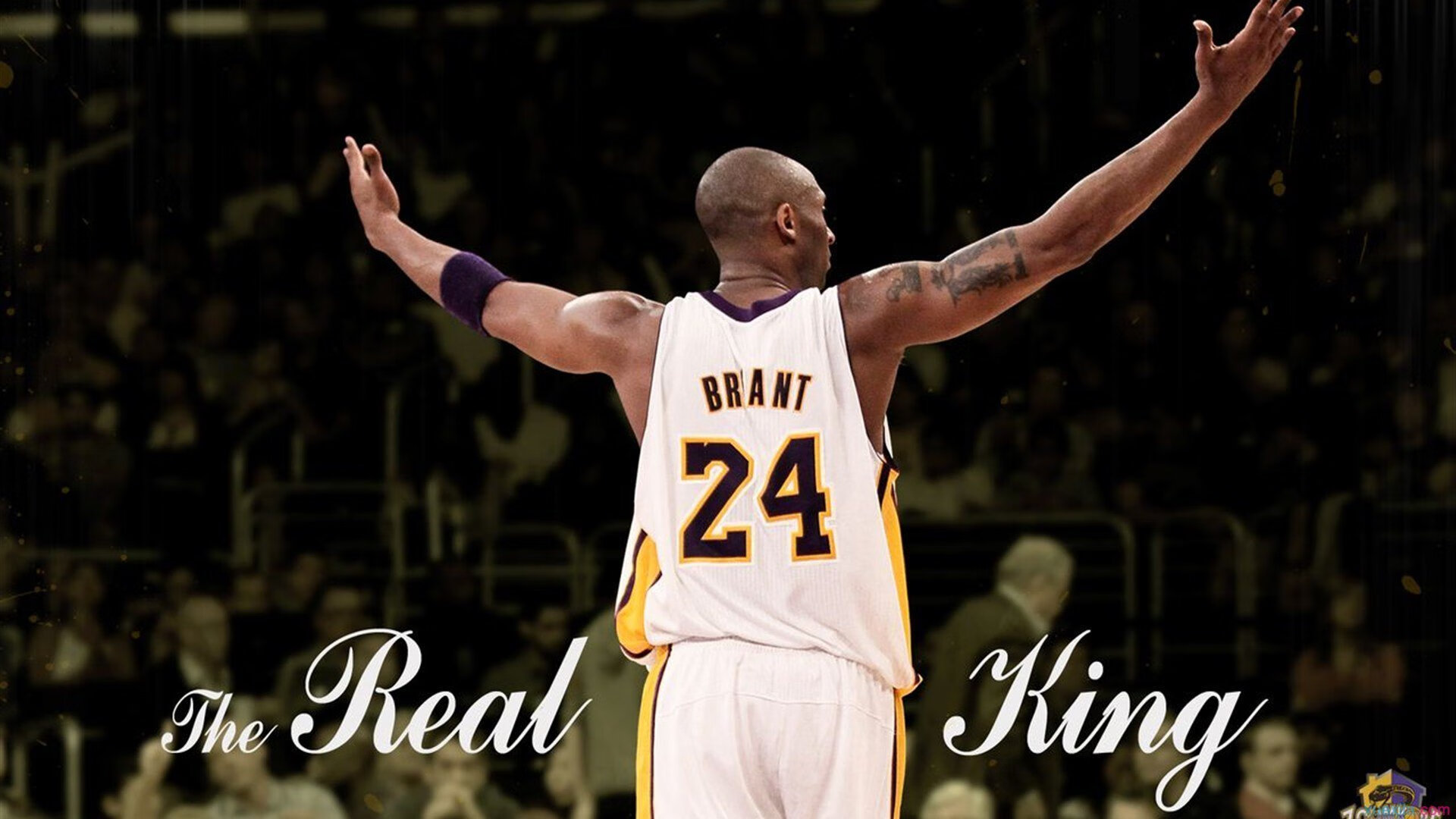 当魔方遇到岩石，年度焦点之战，那个让阿什拉夫完全无解的夜晚